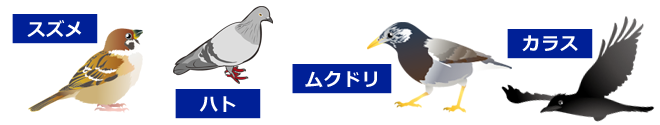 茨城県のねずみ駆除はアンフィニプロダクトまでご相談ください