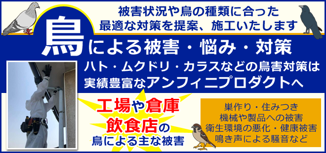 工場や倉庫の鳥被害でお悩みでしたら、アンフィニプロダクトへお任せください。