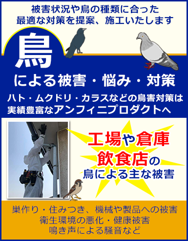 工場や倉庫の鳥被害でお悩みでしたら、アンフィニプロダクトへお任せください。