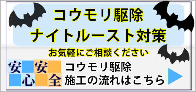 茨城県のコウモリ・こうもり駆除はアンフィニプロダクトまでご相談ください