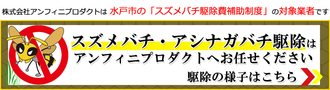 スズメバチ、アシナガバチの駆除はアンフィニプロダクトへお任せください。