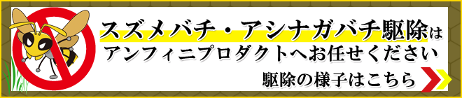 スズメバチ、アシナガバチの駆除はアンフィニプロダクトへお任せください。