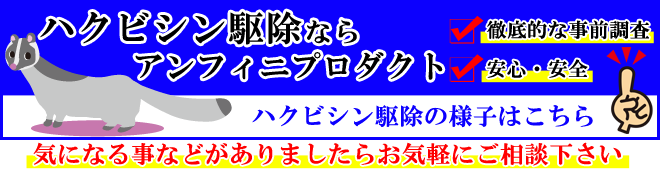 茨城県のハクビシン駆除はアンフィニプロダクトへお任せください。