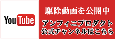 株式会社アンフィニプロダクトのyoutubeはこちら