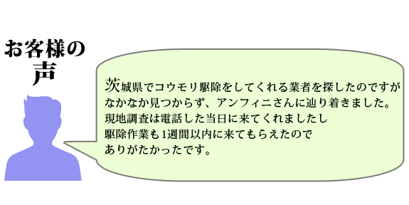 お客様の声:茨城県でコウモリ駆除をしてくれる業者を探したのですがなかなか見つからず、アンフィニさんに辿り着きました。現地調査は電話した当日に来てくれましたし
駆除作業も1週間以内に来てもらえたのでありがたかったです。