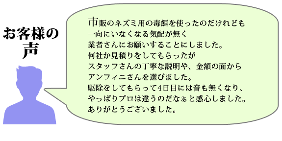 お客様の声：市販のネズミ用の毒餌を使ったのだけれども一向にいなくなる気配が無く
業者さんにお願いすることにしました、何社か見積りをしてもらったがスタッフさんの丁寧な説明や、金額の面からアンフィニさんを選びました。駆除をしてもらって4日目には音も無くなり、やっぱりプロは違うのだなぁと感心しました、ありがとうございました。