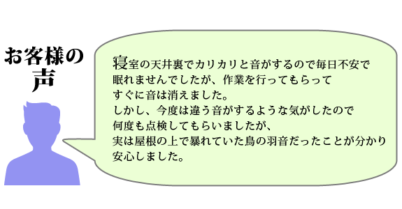 お客様の声：寝室の天井裏でカリカリと音がするので、毎日不安で眠れませんでしたが作業を行ってもらってすぐに音は消えました。しかし、今度は違う音がするような気がしたので何度も点検してもらいましたが、実は屋根の上で暴れていた鳥の羽音だったことが分かり安心しました。