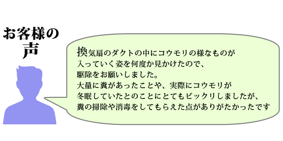 お客様の声：換気扇のダクトの中にコウモリの様なものが入っていく姿を何度か見かけたので、駆除をお願いしました。大量に糞があったことや、実際にコウモリが冬眠していたとのことにとてもビックリしましたが、糞の掃除や消毒をしてもらえた点がありがたかったです