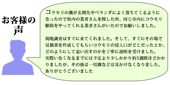 インターネットで駆除業者をいろいろ検索してみましたが、全国展開をうたっている所より地元の業者を探していたし、ホームページの内容にも安心感があったのでアンフィニさんに頼むことにした。
施工してもらってわずか1週間で足音は無くなり、こんなに早くいなくなるとは思わなかった。
丁寧な仕事をありがとうございました。